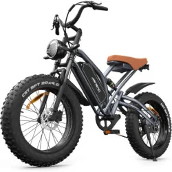 Jansno Electric Bike 20" x 4.0 Electric Bike w/ 750W Brushless Motor