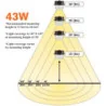 LED Security Area Light (43 Watts) - Dusk to Dawn Barn Light w/ Photocell