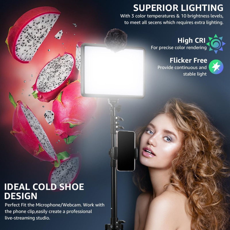 Studio Light 2800K 6500K Dimmable Photography Lighting Kit