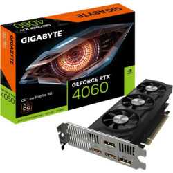 Nvidia Graphic Cards