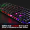 Rainbow LED Backlit Mechanical Gaming Keyboard for Gaming and Productivity