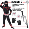 Ninja Deluxe w/ Accessories - Kids Halloween Costume