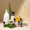 Cliganic Organic Essential Oils Set - For Diffusers