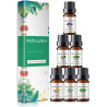MAYJAM Essential Oil Set, 6 Packs 10ML Pure Aromatherapy Oil - For Diffusers, Home, Candle Making