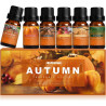 Autumn Essential Oil Set of 6 - For Diffuser