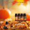 Autumn Essential Oil Set of 6 - For Diffuser