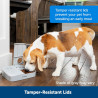 5-Meal Automatic Feeder - White