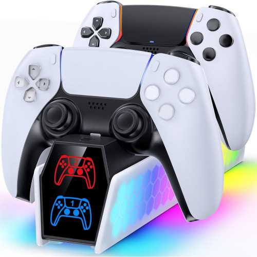 Charging Dock for PS5 DualSense & Edge Controllers with LED Indicator | TekChoice Electronics
