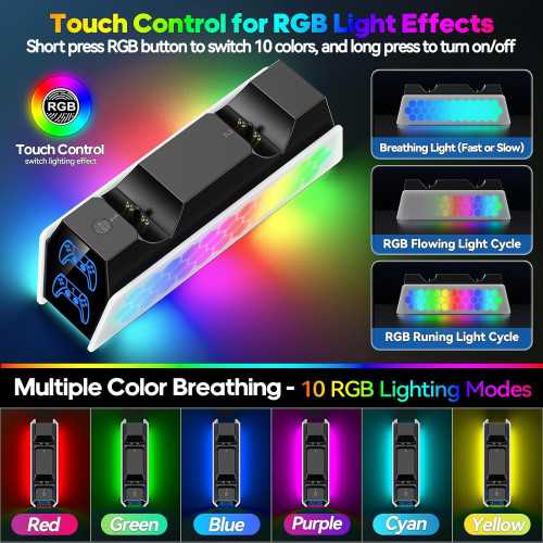 Charging Dock for PS5 DualSense & Edge Controllers with LED Indicator | TekChoice Electronics
