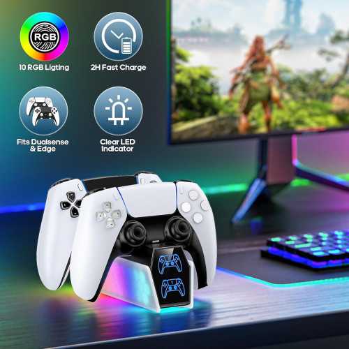 Charging Dock for PS5 DualSense & Edge Controllers with LED Indicator | TekChoice Electronics
