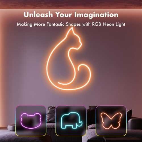 RGB Neon Rope Lights with Music Sync & Remote Control | TekChoice Electronics