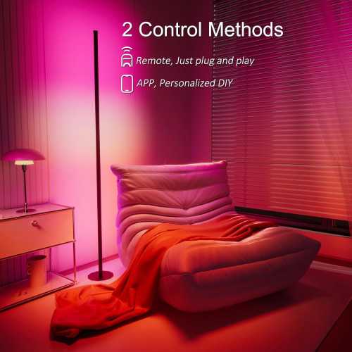 Smart Dual Light Control Corner Floor Lamps | TekChoice Electronics