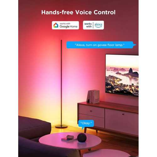 Govee RGBIC Floor Lamps - Smart Voice-Controlled Lighting Duo | TekChoice Electronics