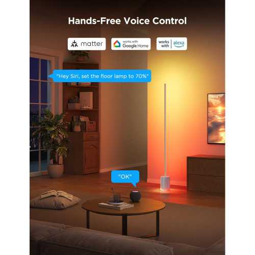 Smart RGBIC Floor Lamp with Music Sync and Scene Modes | TekChoice Electronics
