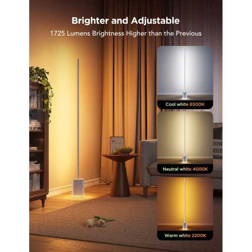 Smart RGBIC Floor Lamp with Music Sync and Scene Modes | TekChoice Electronics