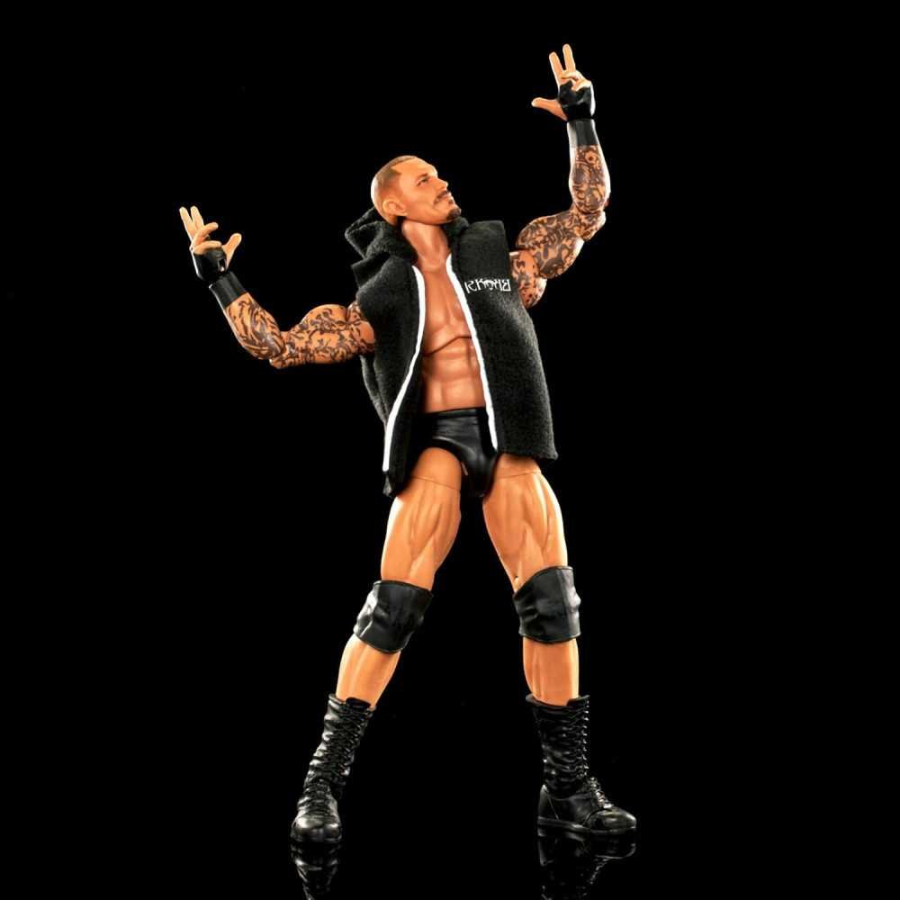 Randy Ortan Action Figure Set with 30 Articulation Points and Swappable Entrance Gear | TekChoice Electronics