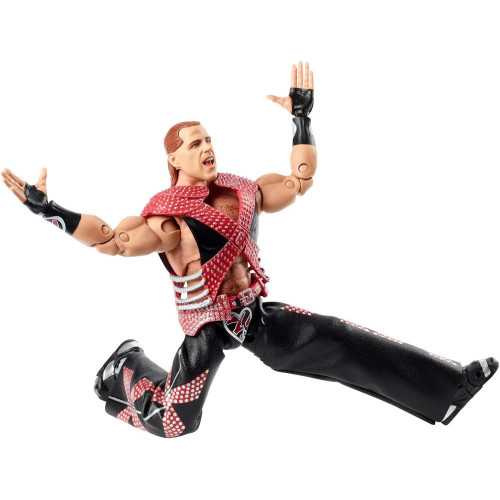 Shawn Michaels Action Figure with Interchangeable Heads and Swappable Hands | TekChoice Electronics