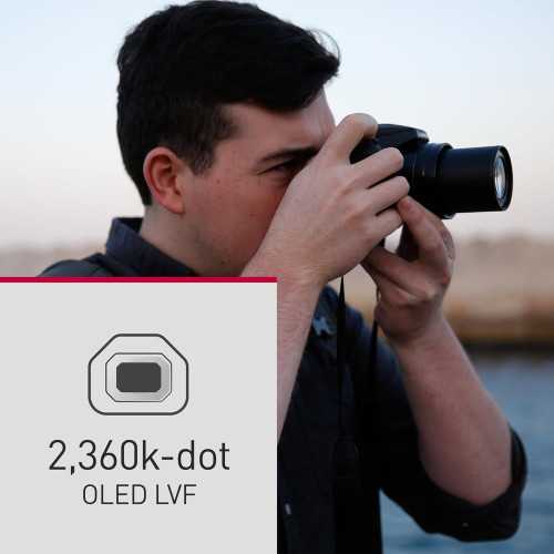 Panasonic LUMIX FZ80D 4K Compact Camera | TekChoice Electronics