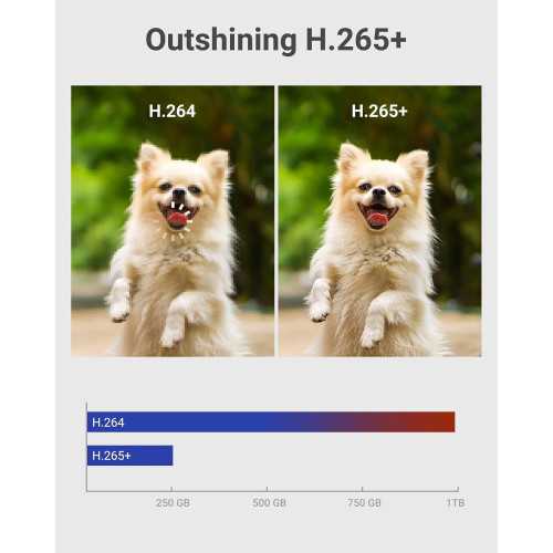 8CH H.265+ 3K Lite Camera System with AI Detection and Remote Access | TekChoice Electronics