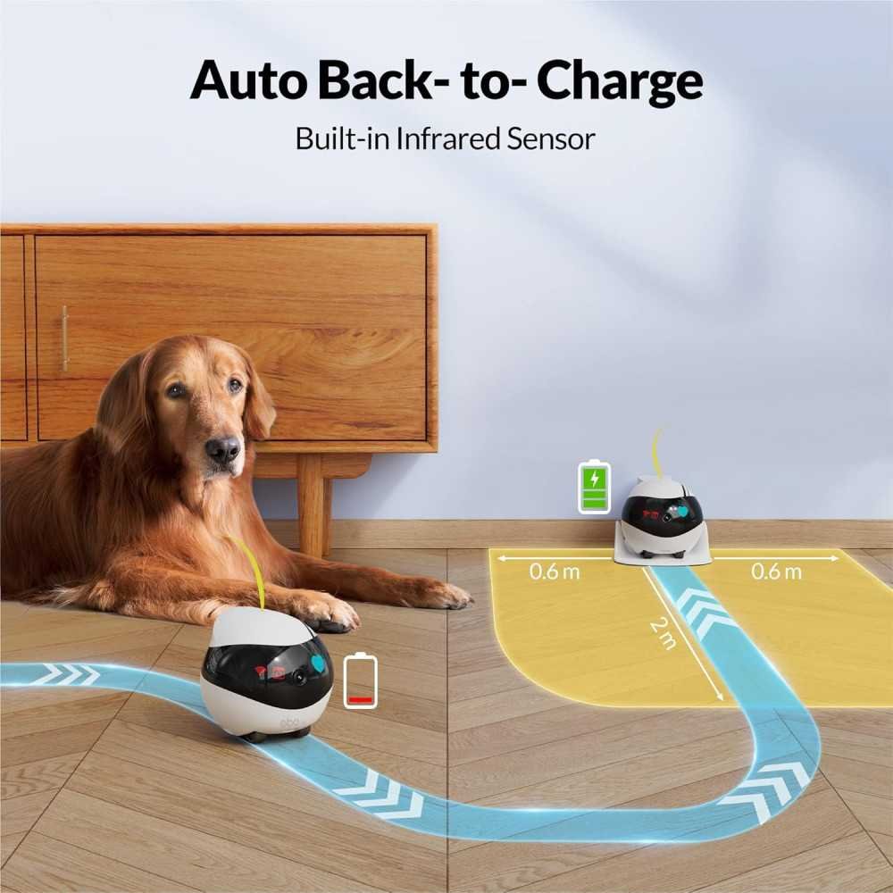 EBO Air Pet Camera | TekChoice Electronics