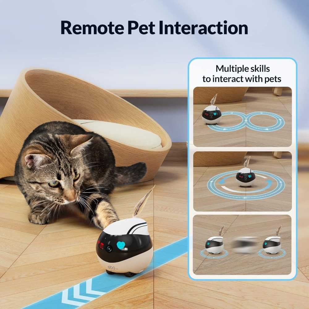 EBO Air Pet Camera | TekChoice Electronics