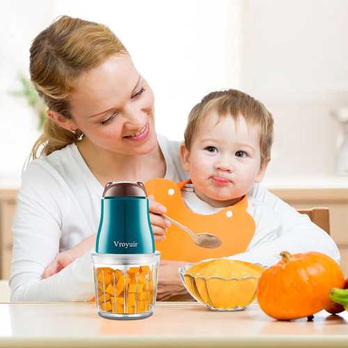 Baby Food Maker with 10 Blades and Glass Bowls | TekChoice Electronics