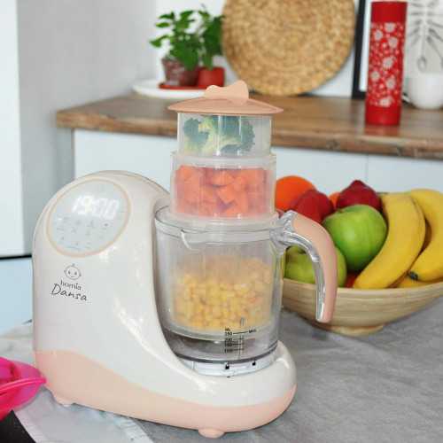 8-in-1 Baby Food Maker for Healthy Meals | TekChoice Electronics