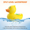 Digital Baby Bath Thermometer for Precise Water Temperature Control | TekChoice Electronics