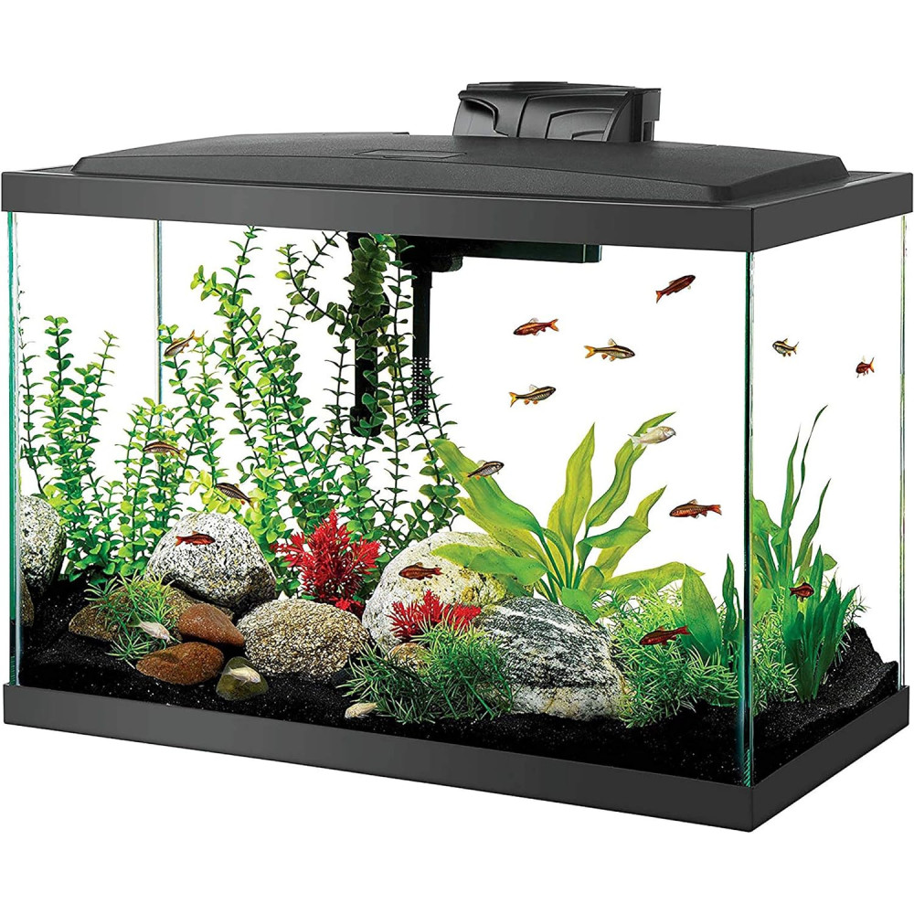 Aquarium Starter Kit: 20 High w/ LED Lighting, Bacteria Supplements, and Cleaning Magnets