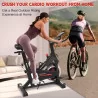 LuminoFit Exercise Bike for Home w/ 330lbs Weight Capacity