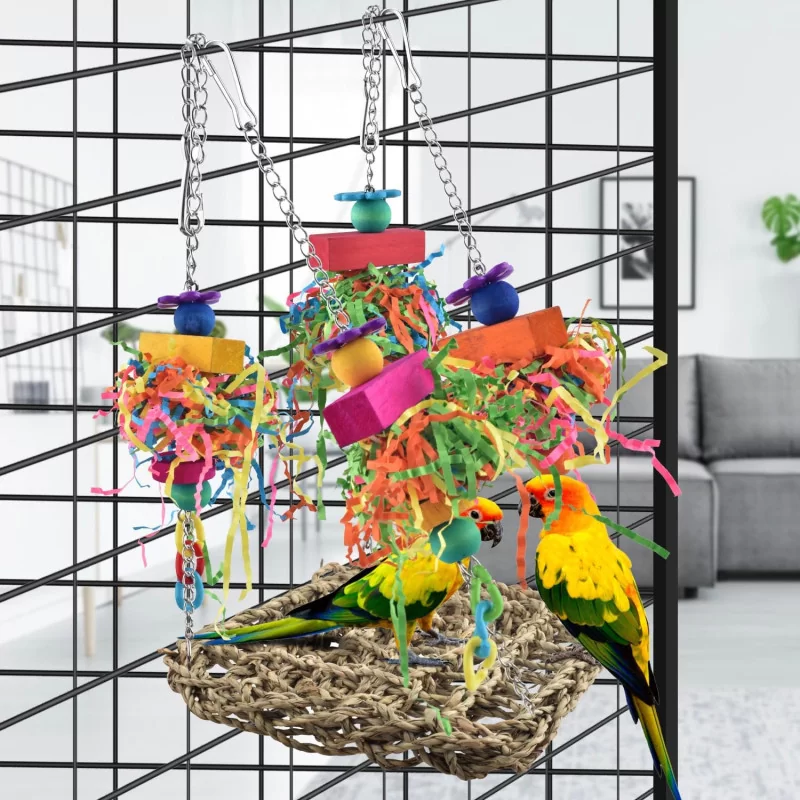 Bird Foraging Wall Toy