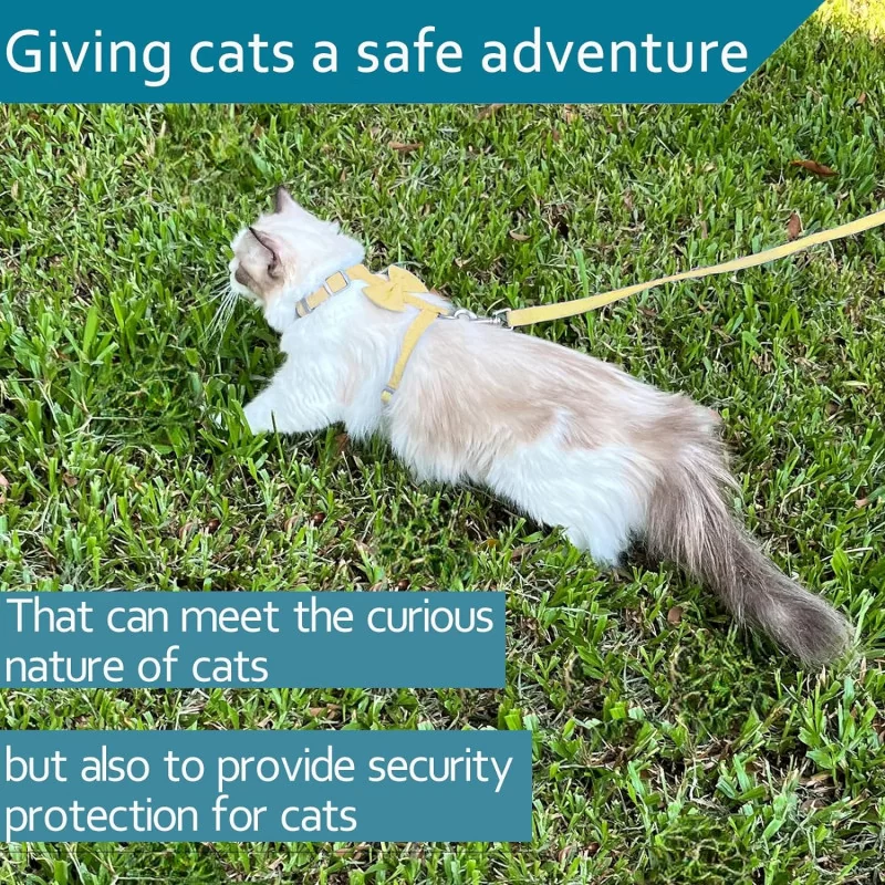 Cat Vest Harness and Leash Set for Outdoor Walking