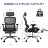 Office Chair w/ Adjustable Lumbar Support and Seat Depth