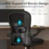 Ergonomic Office Chairs - Adjustable Lumbar Support, Mesh Desk Chair w/ Adjustable Arms and Wheels