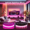 Neon Rope RGB LED Strip Lights App Control, IR Remote, Music Syncing