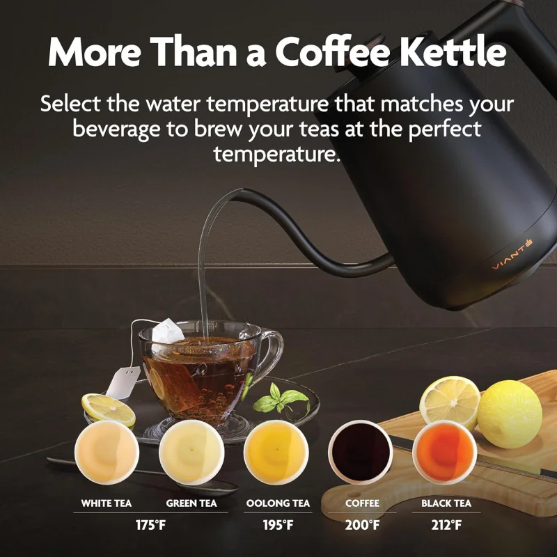 Vianté Hot Tea Maker Electric Glass Kettle w/ Tea Infuser And Temperature Control